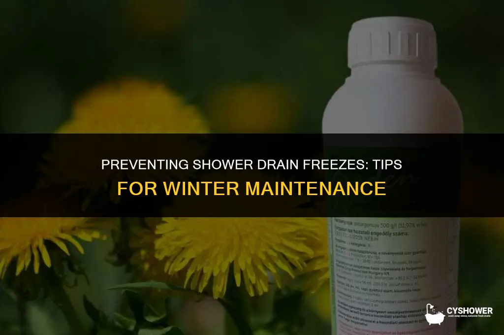 can your shower drain freeze