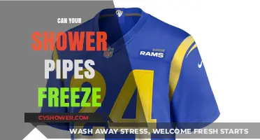 Chilly Showers: The Risk of Frozen Pipes in Your Home