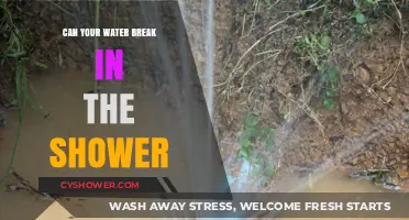 Shower Surprises: Can Your Water Break While You're Getting Clean?