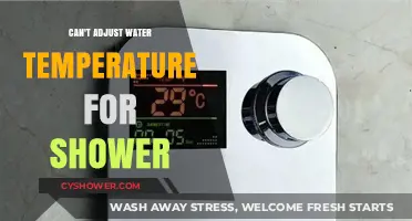 Troubleshooting Your Shower: Why Can't You Adjust the Water Temperature?
