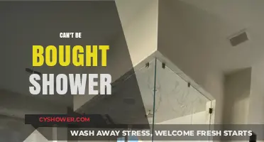 Unveiling the Ultimate Shower Experience: Beyond the Price Tag