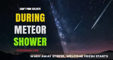 Celeste Missing? Tips to Spot Her During Meteor Showers