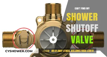 Where's My Shower Shutoff Valve? A Homeowner's Guide to Finding It