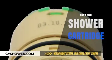 Troubleshooting Tips: Can't Find the Right Shower Cartridge?