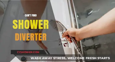Solving the Mystery: Where's My Shower Diverter?