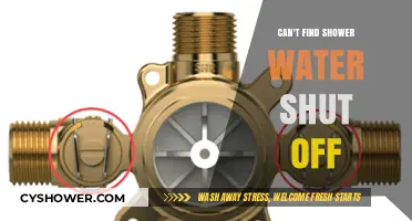 Solving the Mystery: Where's the Shower Water Shut-Off?