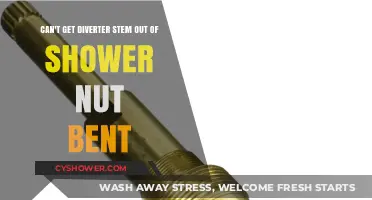 Fixing a Bent Shower Diverter Stem: Tips to Remove Stuck Nuts