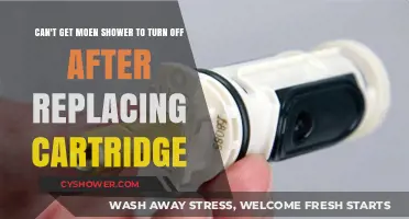 Troubleshooting Moen Shower: Fixing Persistent Water Flow After Cartridge Replacement