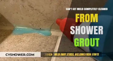 Stubborn Shower Grout Mold: Effective Cleaning Tips and Prevention Strategies
