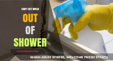 Effective Solutions to Remove Stubborn Mold from Your Shower Permanently