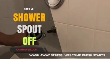 Struggling to Remove Your Shower Spout? Here’s How to Fix It