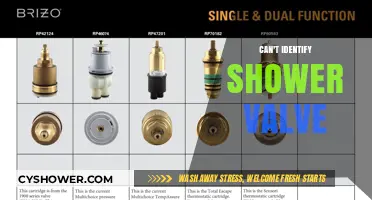 Troubleshooting Mystery Shower Valves: A Comprehensive Guide