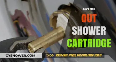Struggling to Remove Your Shower Cartridge? Here's What to Do