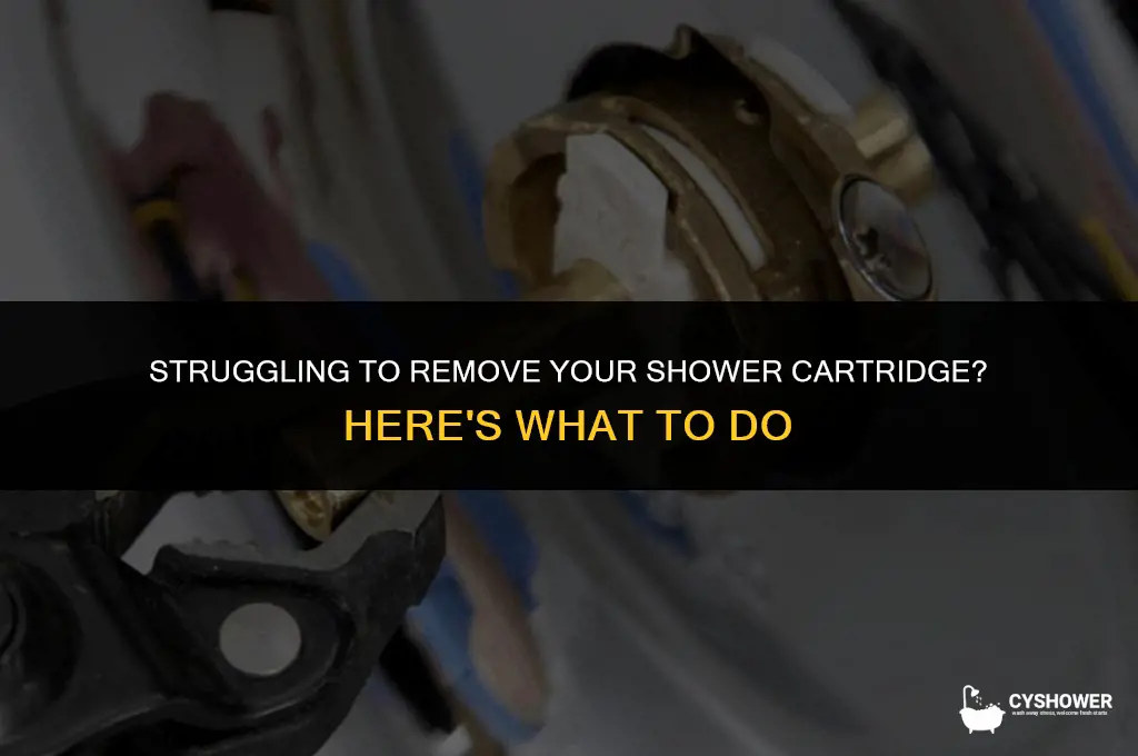 can