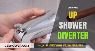 Fixing the Frustration: Solutions for a Stuck Shower Diverter