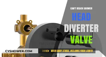 Fixing Unreachable Shower Head Diverter Valve: Tips and Tricks
