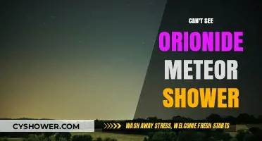 Cloudy Skies: Missing the Orionid Meteor Shower This Year?