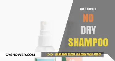 Freshen Up Without Water: The Dry Shampoo Dilemma