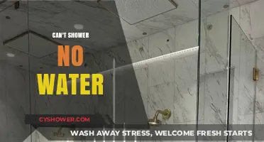 Dry Dilemma: When the Shower Runs Dry - No Water, No Problem!