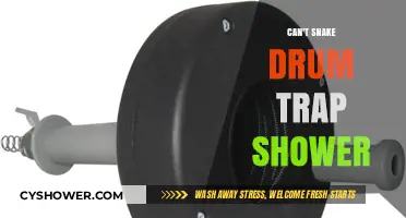 Exploring the Quirky World of Snake Drums in the Shower