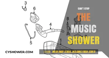 Melodies in the Mist: The Irresistible Shower Serenade