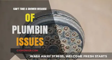 Plumbing Problems: Why Your Shower Time is on Hold