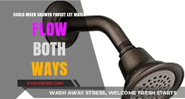 Can Moen Shower Faucets Allow Bi-Directional Water Flow?
