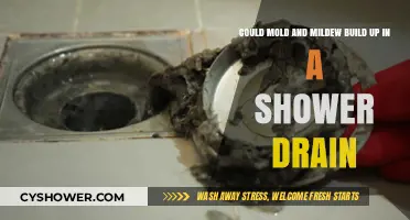 Preventing Mold and Mildew Buildup in Your Shower Drain: Tips and Tricks