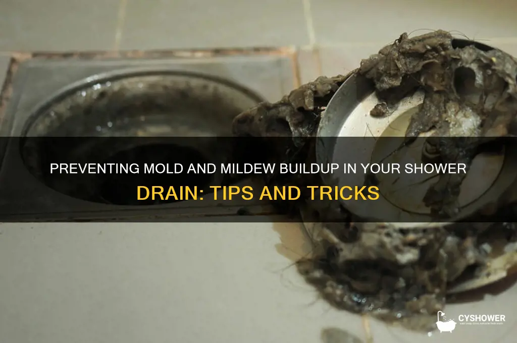 could mold and mildew build up in a shower drain