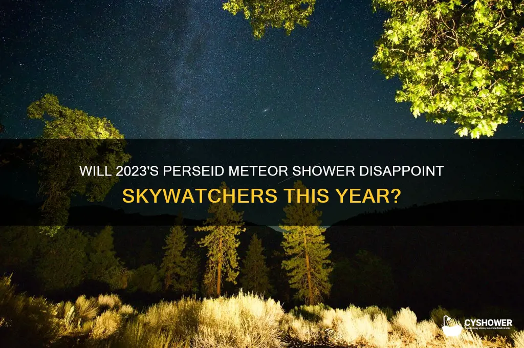 could perseid meteor shower be a dud this year