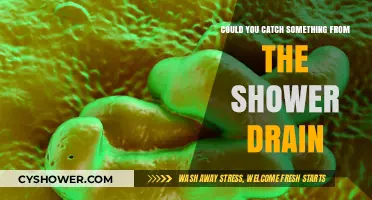 Shower Drain Germs: Can You Catch Something from the Drain?