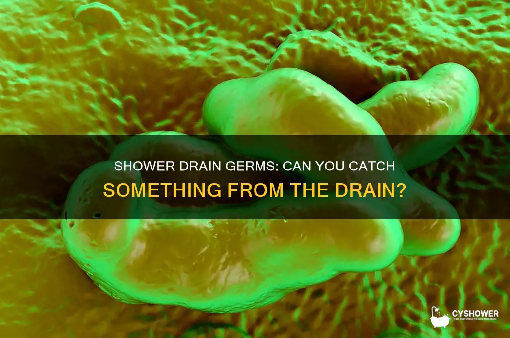 could you catch something from the shower drain