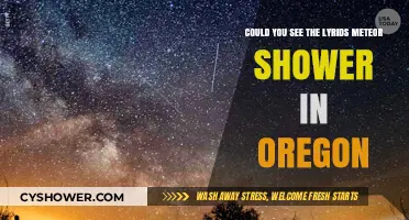 Oregon Skies Light Up: Spotting the Lyrids Meteor Shower