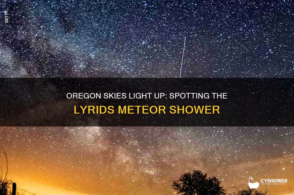 could you see the lyrids meteor shower in oregon