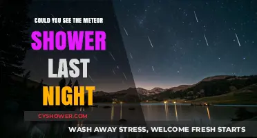 Did You Witness the Meteor Shower's Celestial Spectacle Last Night?