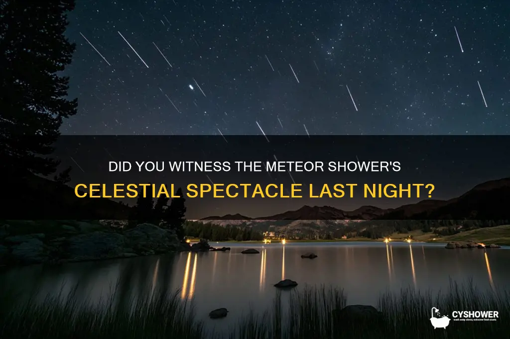 could you see the meteor shower last night