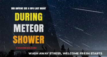 UFO Sightings During Last Night's Meteor Shower: Did Anyone Spot One?