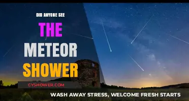 Did You Witness the Meteor Shower? A Celestial Spectacle Recap