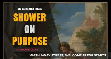 Bathsheba's Shower: Intentional Act or Unintentional Encounter?