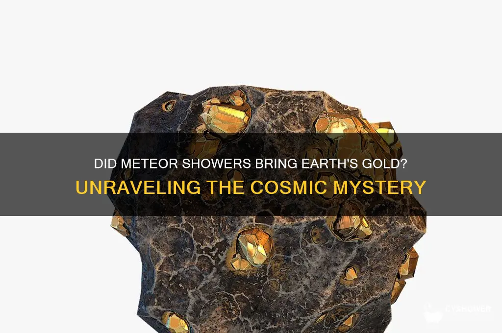 did gold come from a meteor shower