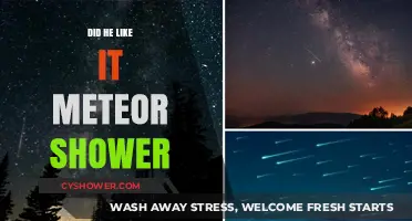 Did He Enjoy the Meteor Shower? Unraveling the Celestial Experience