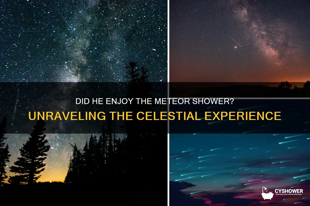 did he like it meteor shower