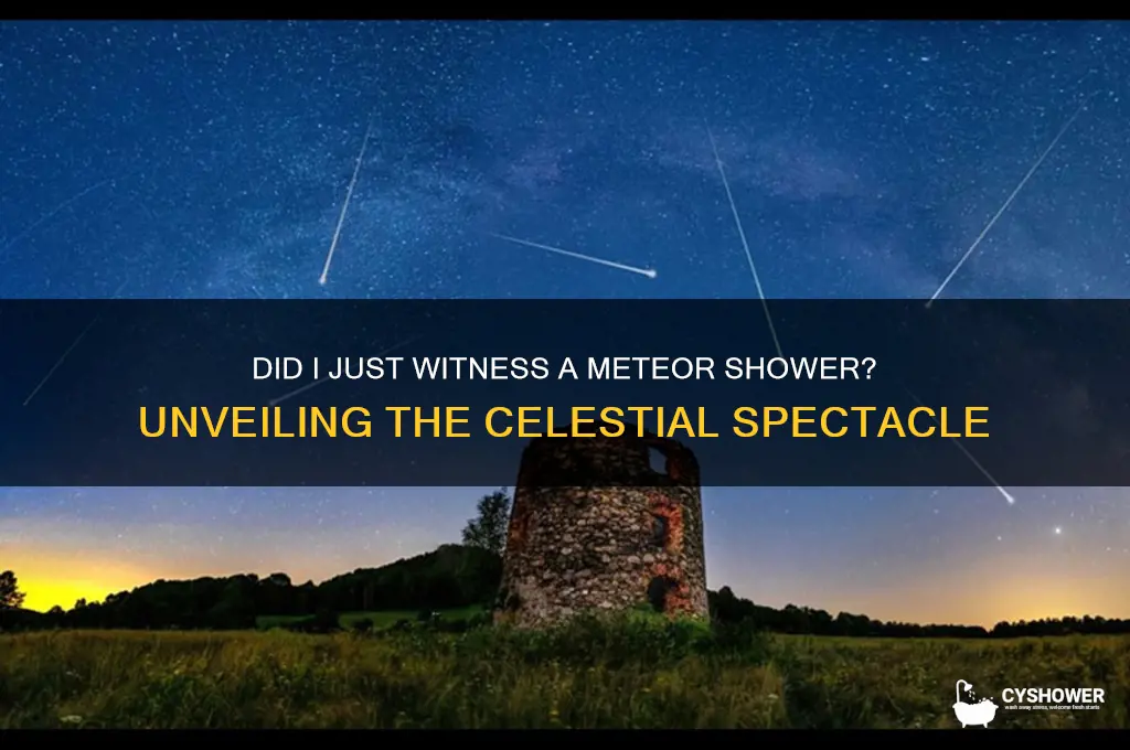 did i just see a meteor shower