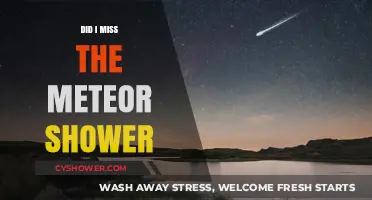Did I Miss the Meteor Shower? Catching Up with Celestial Events