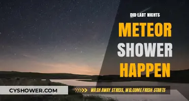 Did Last Night's Meteor Shower Occur? A Celestial Recap and Insights