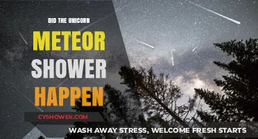 Unicorn Meteor Shower: Did the Rare Celestial Event Actually Occur?
