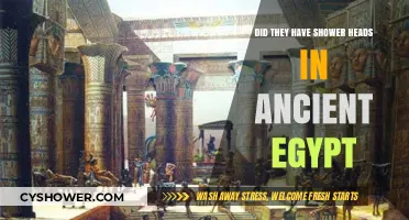 Ancient Egyptian Hygiene: Did They Use Shower Heads?
