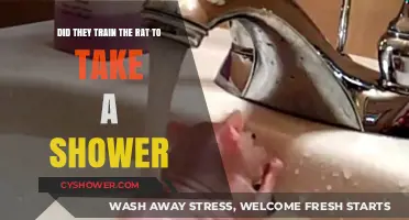Shower-Trained Rat: Fact or Fiction? Uncovering the Truth Behind the Viral Story