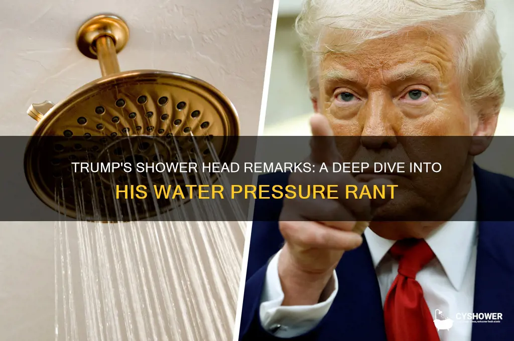 did trump talk about shower heads