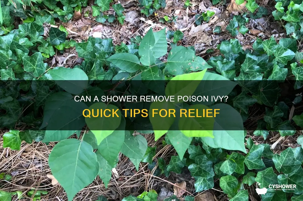 do a shower get rid of poison ivy